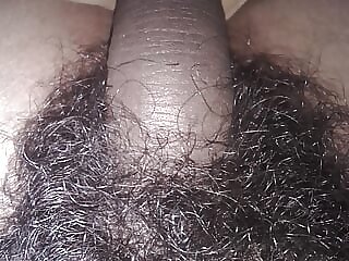 Showing very big hairy dick..