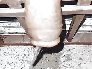Dick flashing and pissing..