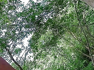 Sex with Trees