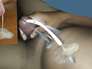 Asian Dick Cock Cumshot